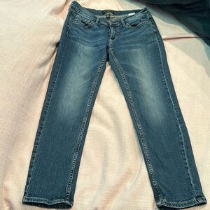 Banana Republic Girlfriend Jean size 26/2 Petite